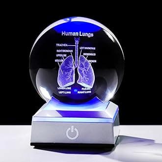 3D Human Lung 3.15 in. Crystal Ball Gifts for Pulmonologists, Glass Sphere Etched Anatomical Lung Model Keepsake for Him Medical Teacher with LED Light Base