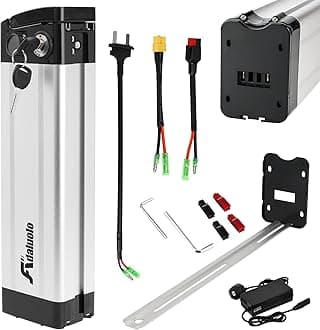 Adaluolo 48V Ebike Battery with Charger, 48V 13AH Folding Electric Bike Removable Battery Replacement Silverfish Lithium Bicycle Pedelec Batteries with 2 Port, Safe Lock for 750W 500W 350W Motor