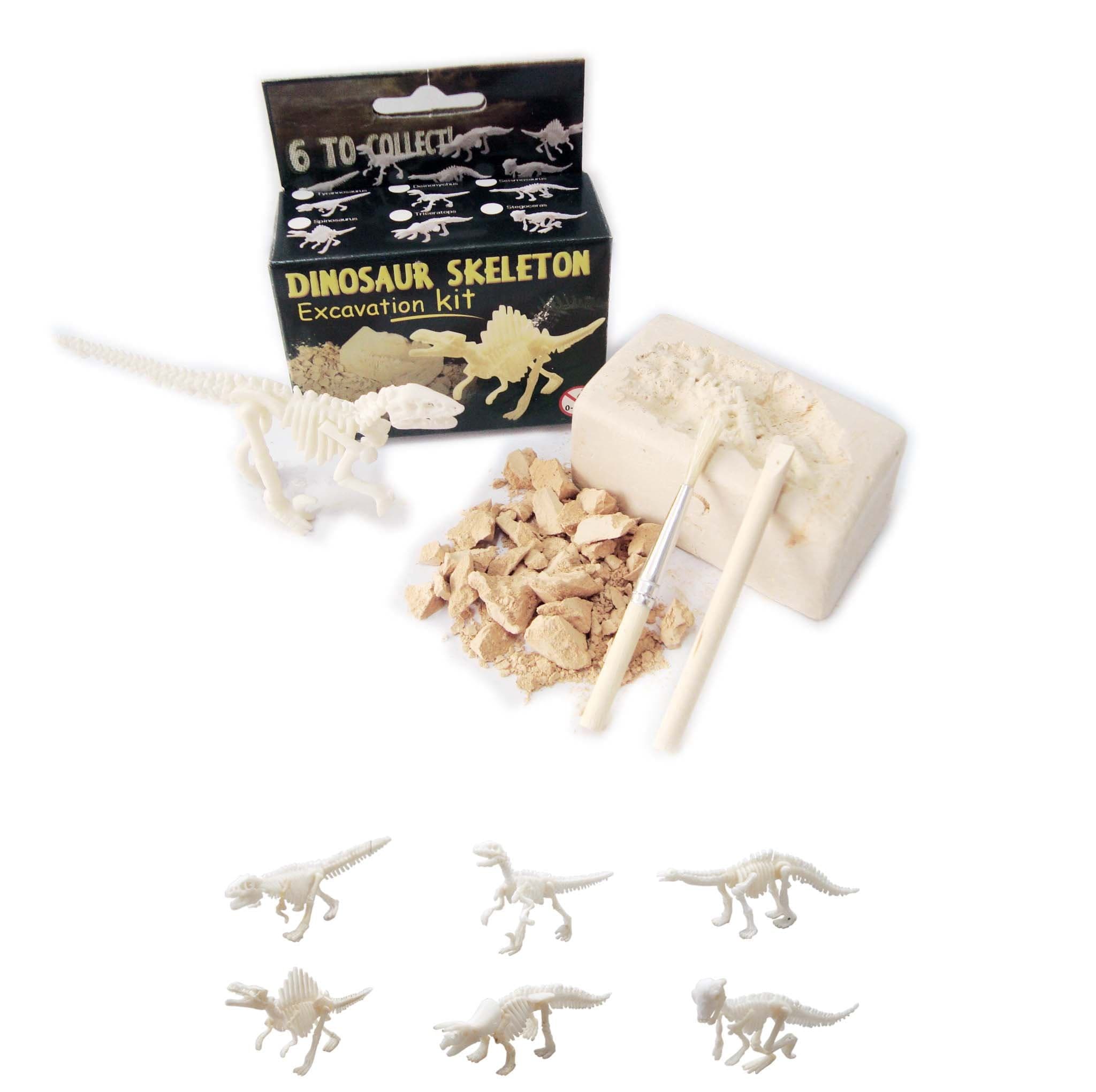 Dinosaur Skeleton Excavation Kit