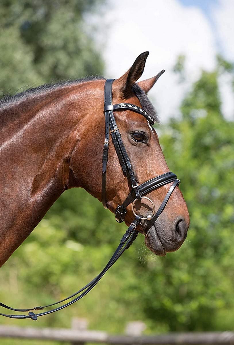 Kieffer Snaffle Bridle Valerie