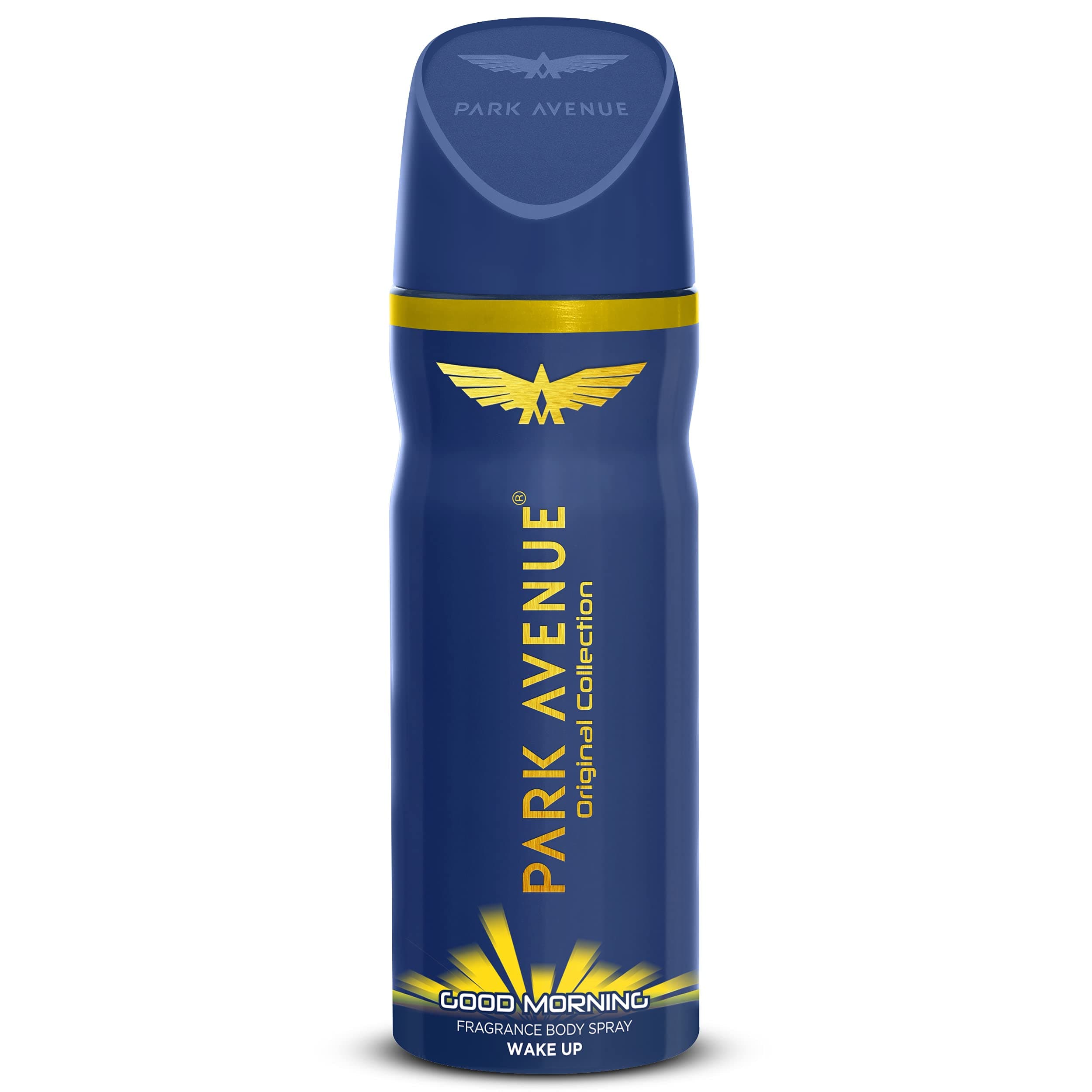Deodorant, Fresh Scent, 100ml Aerosol