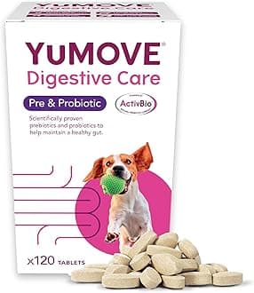YuMOVE Digestive Care, Dog Pre and Probiotics Supplement for Gut Health, Digestive Support for All Ages and Breeds, 120 Tablets - Eco Friendly and Letter Box Ready Packaging