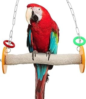 Sweet Feet and Beak Safety Roll Swing Bird Toy - Features Real Pumice - Trims Nails and Beak like Pet Grooming Clippers - Promotes Healthy Feet - Safe, Non-Toxic Bird Supplies for Bird Cages