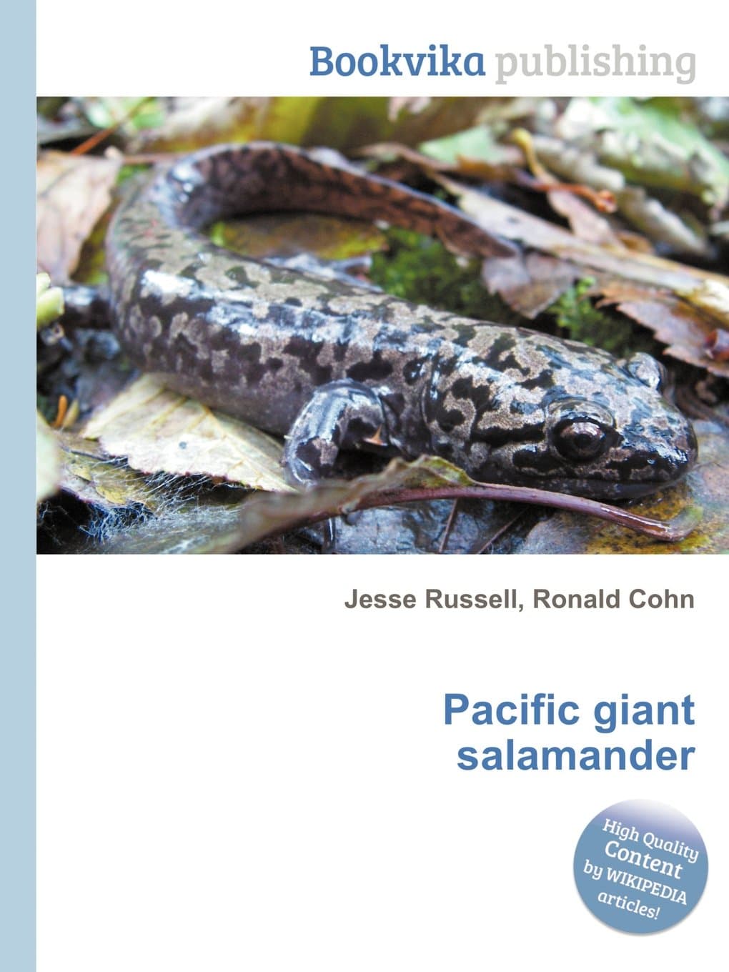 Pacific Giant Salamander