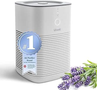 Air Purifier for Bedroom Home, Dual HEPA Filters with Aromatherapy Diffuser, Quiet Sleep Mode, Air Cleaner for Smoke, Allergies, Pet Dander, 100% Ozone Free, LV-H128, Gray