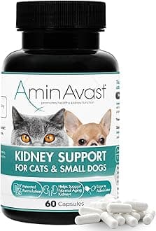 AminAvast Small Dogs & Cat Kidney Support - Promotes Healthy Kidney Support in Cats & Small Dogs - 300mg, 60 Capsule