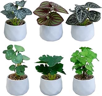 Set of 6 Artificial Small Plants in Pot - Fake Mini Potted Greenery Home Decor for Office, Bedroom, Kitchen, Dorm, Desk, Bathroom Shelf - Dainty Faux Plant Decor for Indoor Spaces