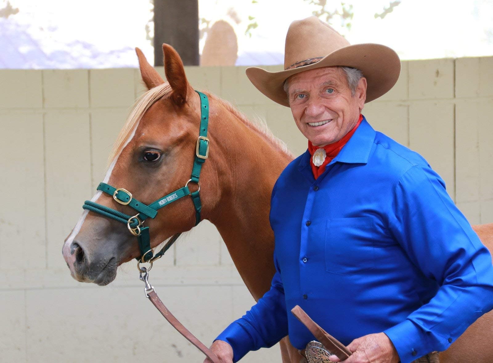 Monty Roberts Dually Headcollar