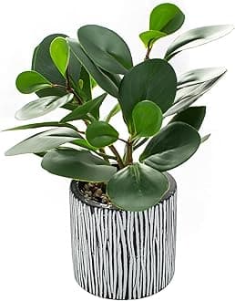 AlphaAcc Fake Plants Real Looking Greenery Artificial Plants Indoor Potted Plant with Rustic Black Clay Planter for Farmhouse Bathroom Bedroom Kitchen Office Table Decor 8"