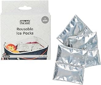 ice Pack, Silver and Blue, 10cmx9cm