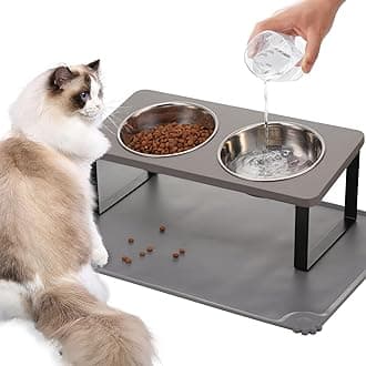 Upgraded Elevated Cat Bowls with Food Mat,15°Tilted Stand Anti Vomiting Raised Cat Dishes for Food and Water,2 Stainless Steel Bowls for Cats and Puppy（Gray）