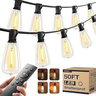 addlon 50FT LED Outdoor String Lights with Remote Waterproof Patio Lights with 16 Shatterproof ST38 Replaceable Bulbs(1 Spare), Dimmable Outside Hanging Light Connectable for Porch, Backyard