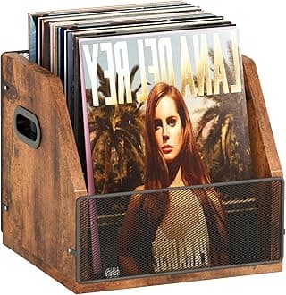 - Homeiju Vinyl Record Storage, Record Box Case Crate, Vinyl Record Album Holder, Desktop Metal & Wooden LP Record Crate, Holds up to 60 Records（Patent No.D1024563