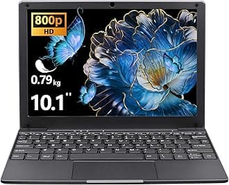 BINTEC 10.1 inch Ultra-Thin Portable Mini Laptop,Celeron N4000 Processor (up to 2.8Ghz), 8GB RAM DDR4,Weight only About 0.8Kg,Built-in Webcam, WiFi, Easy to Carry (Gray, 8G+256GB SSD)