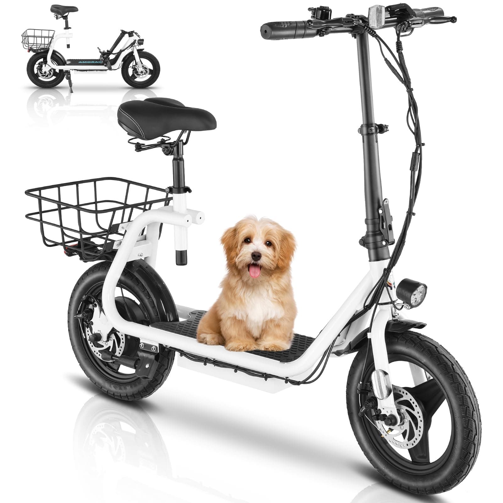 Caroma Scooter