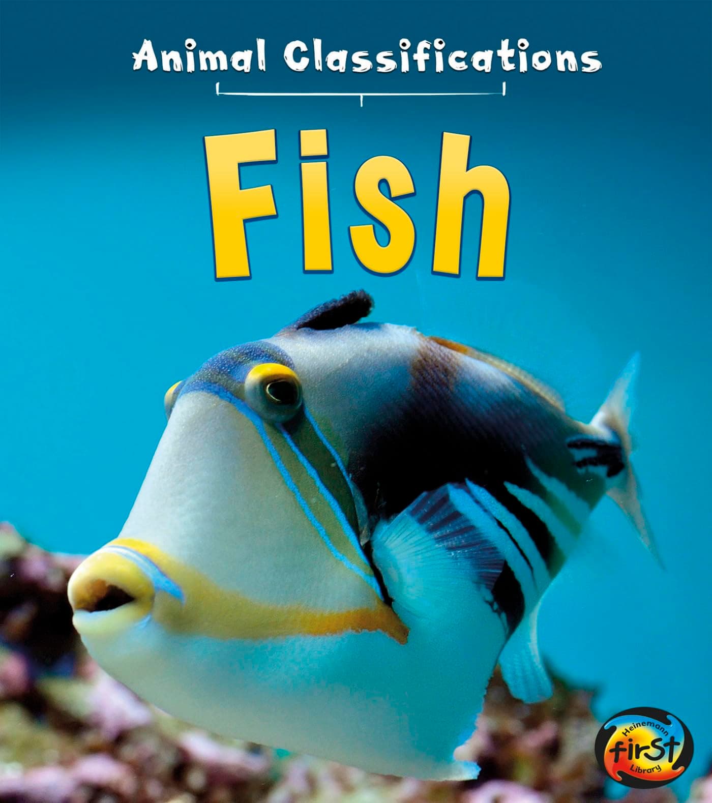 Fish (Animal Classification)