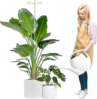 Grow Lights for Indoor Plants, 72 LEDs Full Spectrum Led Plant Grow Light, 10 Dimmable Levels Grow Lamp with Auto Timer, 30-162CM Adjustable Plant Light for Small Tall Plants (1 PCS)