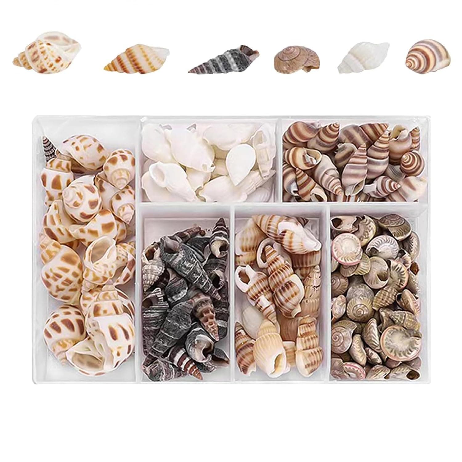 100 Pcs Seashell Mix for Crafts & Decor - Spiral Shells, Starfish, Sea Urchins for Nautical Decor, Beach Themed Parties & DIY Projects