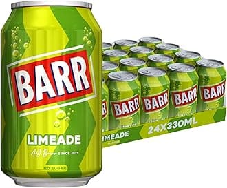 24 Pack Zingy Sparkling Limeade, Zero No Sugar Lime Flavoured Fizzy Drink, Sparkling Fizzy Pop, 24 x 330ml Cans