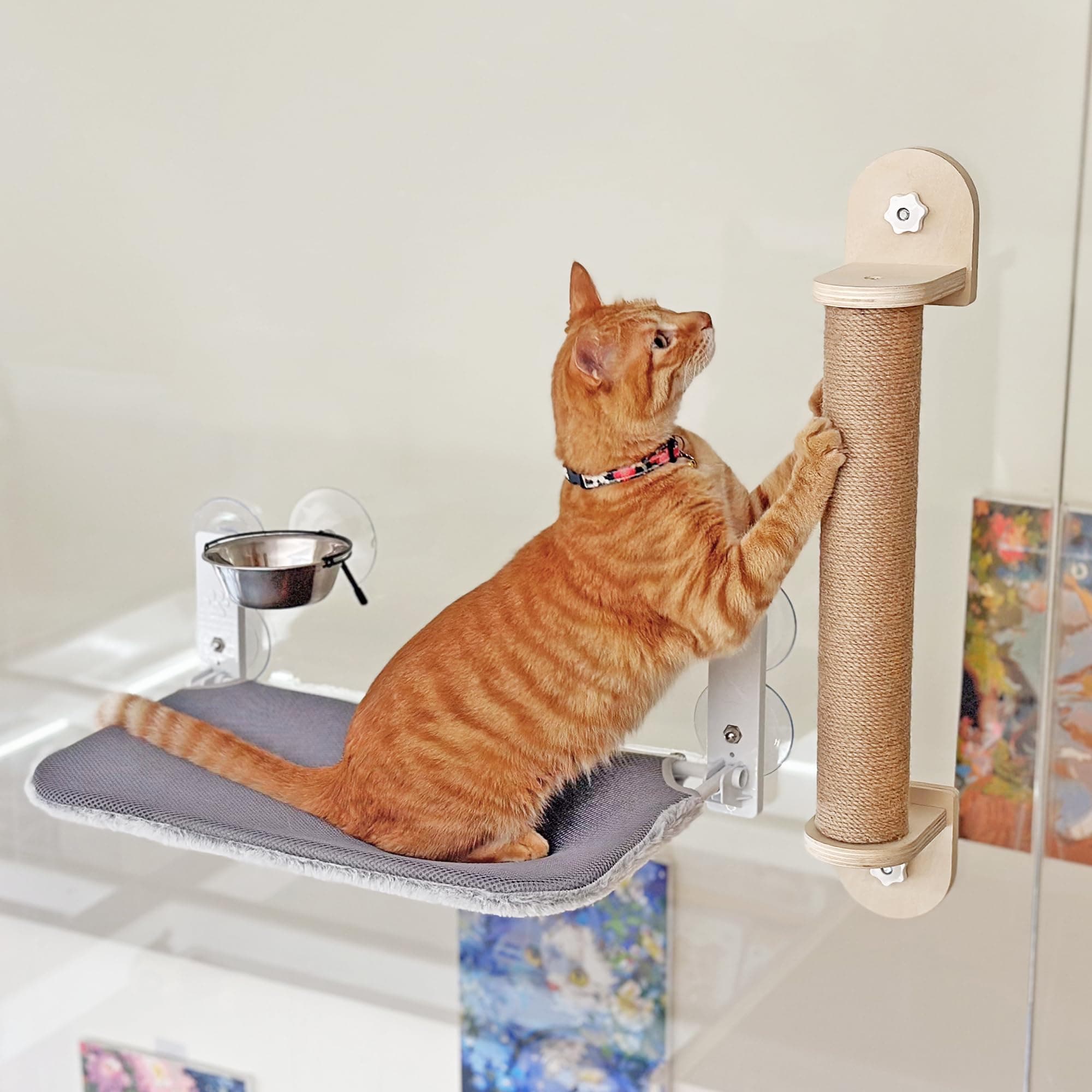 PETKARAY Cat Window Perch, Foldable Cat Hammock for Window, Cat Window Bed for Indoor Cats, Including Cat Bowl and Scratching Post