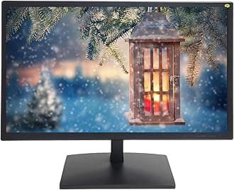 19.5‘’ Security Monitor