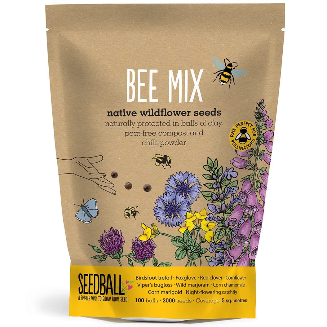 – SEEDBALL Bee Mix Seed Bombs - 100 Seed Balls Per Pack | Eco Friendly British Wild Flower Seed Mix for Bees & Garden Wildlife - Poppy, Chamomile, Cornflower, Corn Marigold & Night-Flowering Catchfly