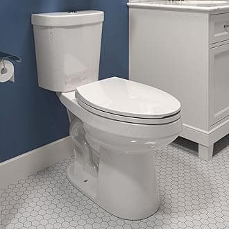 HOROW 17 Inch High Elongated Toilet with ADA Chair Height, Two Piece Toilet with 1.1/1.6 GPF Dual Flush, MAP 1000g, Extra Tall Bowl for Tall Person & Seniors, HR-E17D