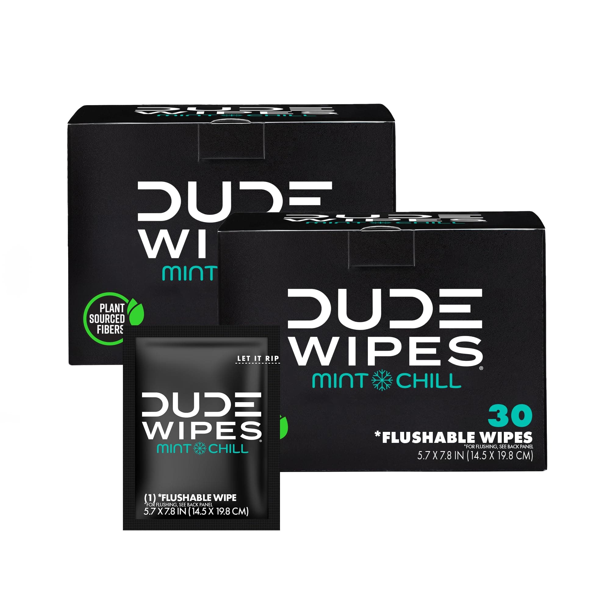 DUDE Wipes - On-The-Go Disposable Wipes, 2 Pack, 60 Extra Large Individually Wrapped Peppermint Scented Wet Wipes for Adults with Eucalyptus and Tea Tree Oil