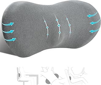 Lumbar Support Pillow for Office Chair and Car Seat, Neo Cushion for Low Back Pain Relief, Memory Foam Back Support Pillow for Gaming Chair, Recliner and Bed (Dk Grey, Cotton)