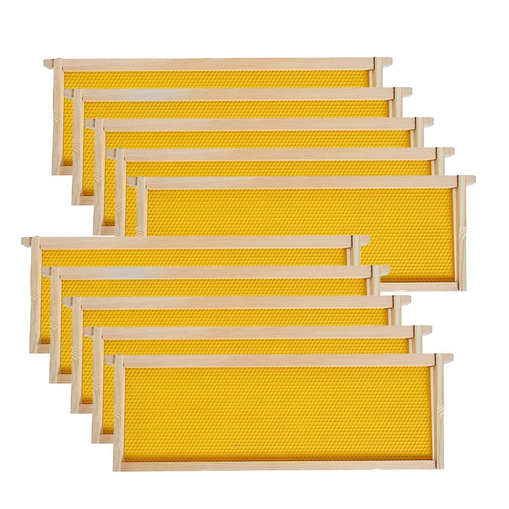 Medium Super Beehive Frames with Wax Foundations, 10 Pack Honey Bee Frames with 100% Beeswax Coated Food Grade Foundation Sheets, 6-1/4-Inch (Yellow)