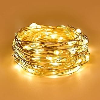 Dalugo Fairy Lights Battery Operated, 2m 20 LED Copper Wire Battery String Lights, Warm White Fairy Lights Indoor for Bedroom Wedding Christmas Jars Bottle Decorations