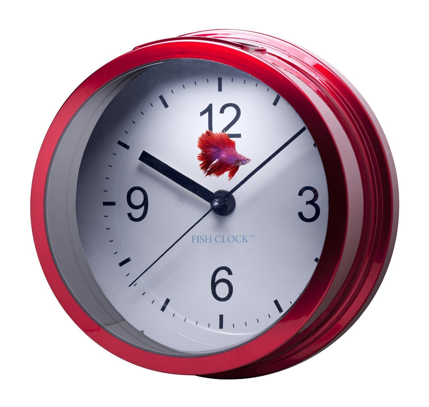 Outlook Design FISH CLOCK Acquarium clock for Beta fish, red