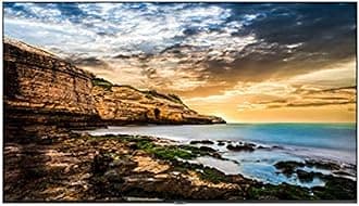 Business QE50T 50-inch 4K UHD 3840x2160 LED Commercial Signage Display, HDMI, USB, Speakers, 3-Yr Wrnty, 16/7 Operation, 300 nit (LH50QETELGCXGO), Black