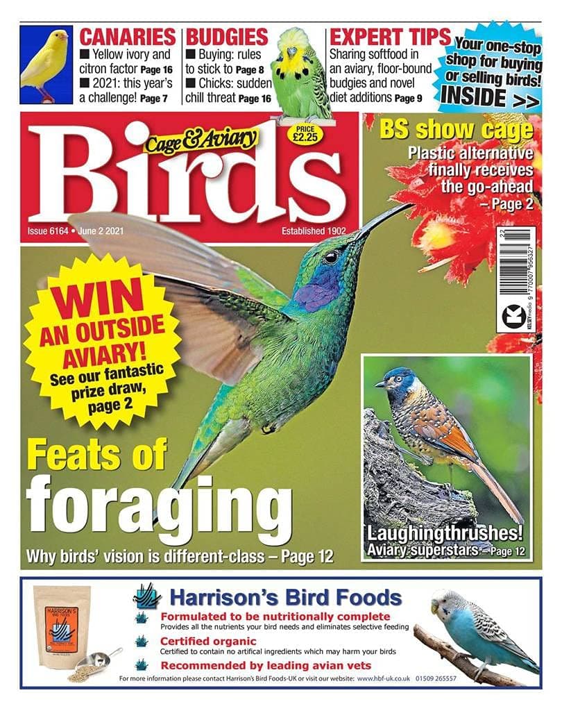 Cage & Aviary Birds Print Magazine