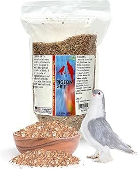 Morning Bird Pigeon Grit - Healthy & Nutritious Pigeon Food to Support Strong Muscles & Bones for Grit Eating Birds - Supports Digestion & Packed with Essential Minerals, 1.5 lbs