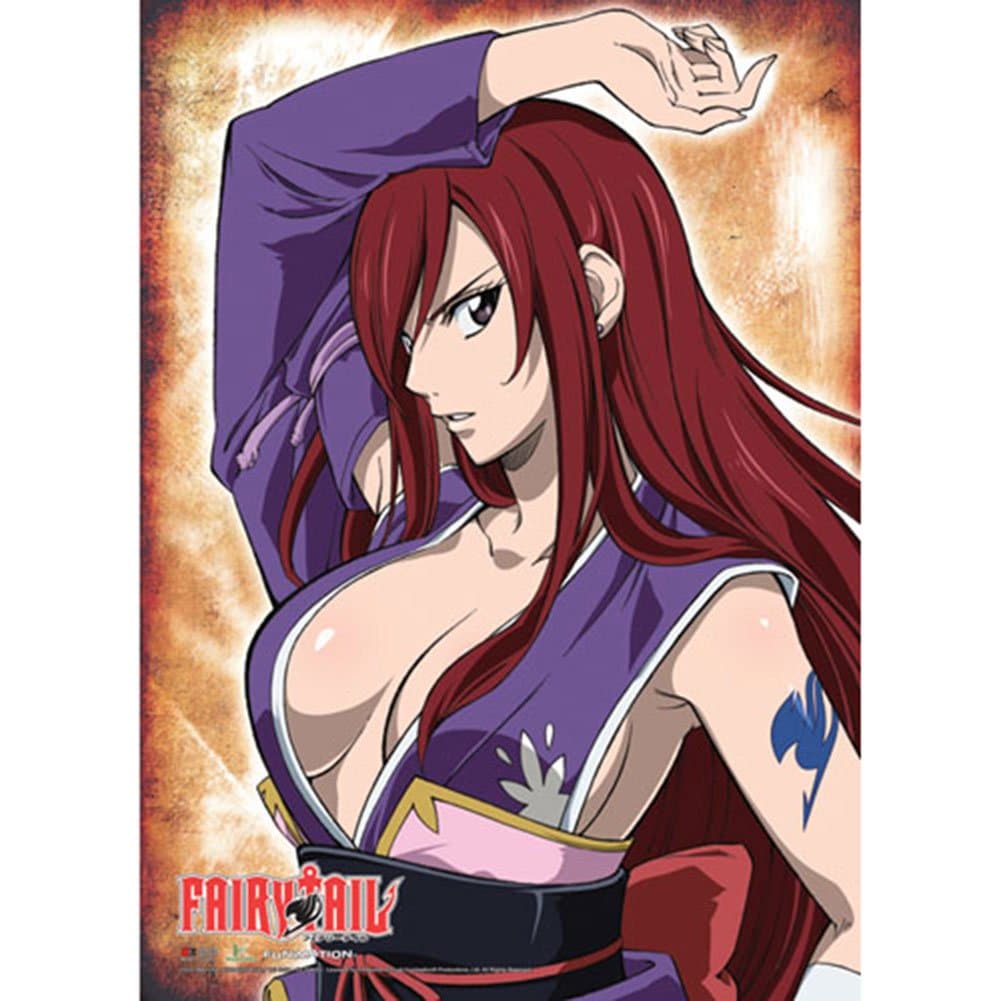 Officially Licensed Fairy Tail Erza Wall Scroll