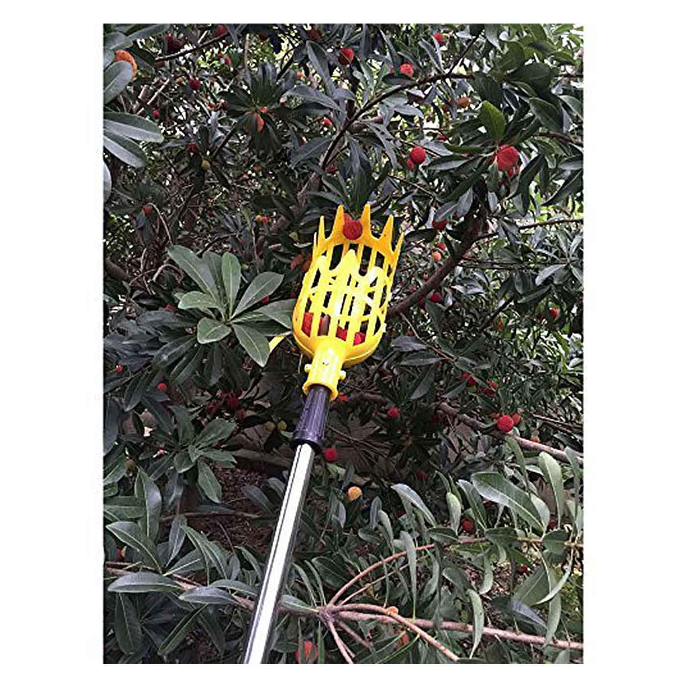 Dhorse Plastic Fruit Picker Wiith Telescopic Pole Pick Apple Peach Tool