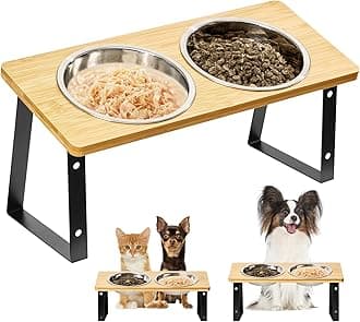 Stainless Steel Elevated Cat Bowls - 15 Raised, Anti Vomiting, Dishwasher Safe