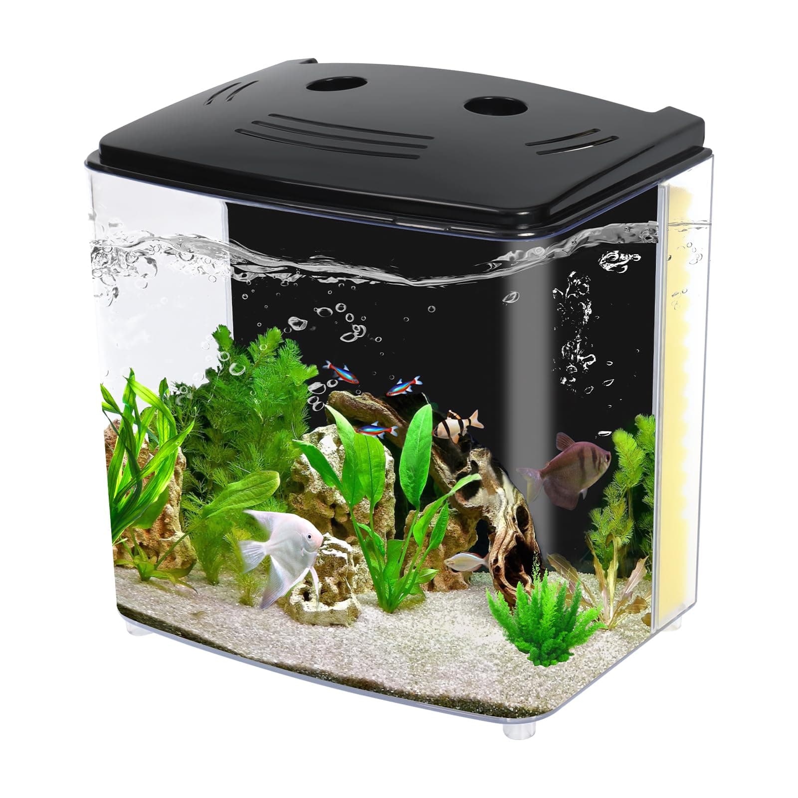 1.2 gal Fish Tank