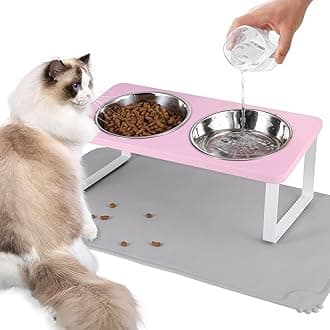 Upgraded Elevated Cat Bowls with Food Mat,15°Tilted Stand Anti Vomiting Raised Cat Dishes for Food and Water,2 Stainless Steel Bowls for Cats and Puppy（Pink）