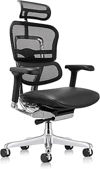 Eurotech LEM4ERG Executive High Back Mesh Office Chair with Leather Seat - Tilt Tension Control, Tilt Lock, Back Angle & Height, Synchro Tilt, Seat Height & Depth, and Arm Height Adjustments