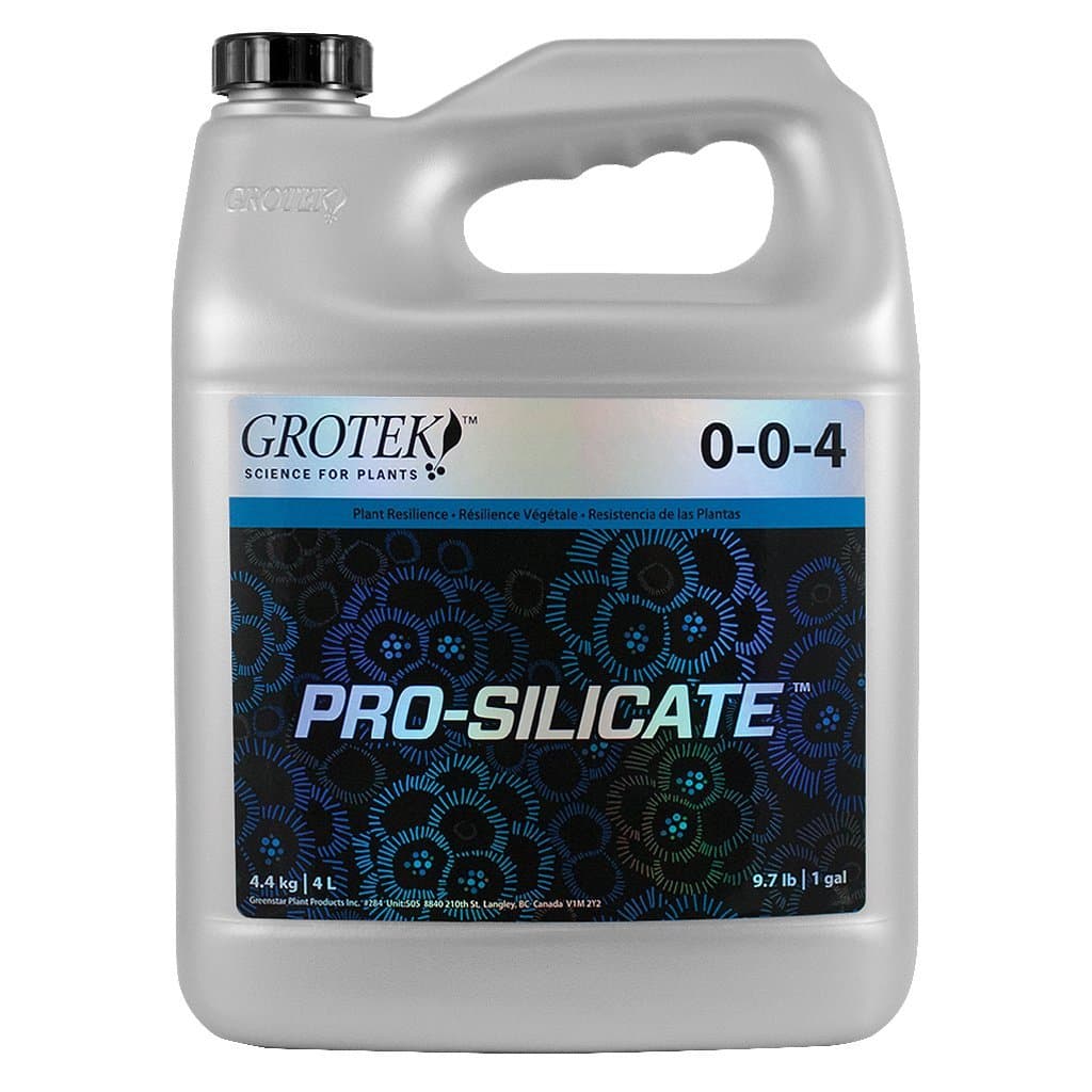 Pro-Silicate, 4 Liter