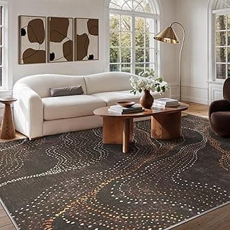 BEIMO Area Rugs 8x10 for Living Room Bedroom, Modern Abstract Dotted Pattern Machine Washable Rug, Large Soft Low Pile Floor Carpet with Non Slip Backing for Dining Room, Charcoal Brown