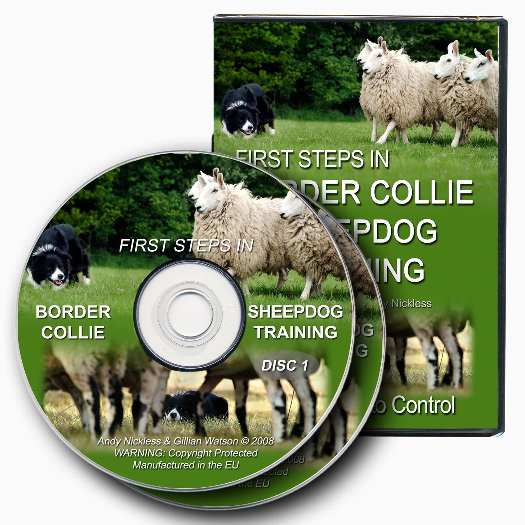 First Steps In Border Collie Sheepdog Training [DVD]