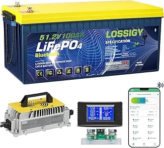 LOSSIGY 48V Lithium Golf Cart Battery with 18A Lithium Charger, 48 Volt 100Ah LiFePO4 Battery, Built in 200A Bluetooth BMS & LCD 10.24kW Output, Peak Current 1000A(3-5s), Prefect for RV Solar System