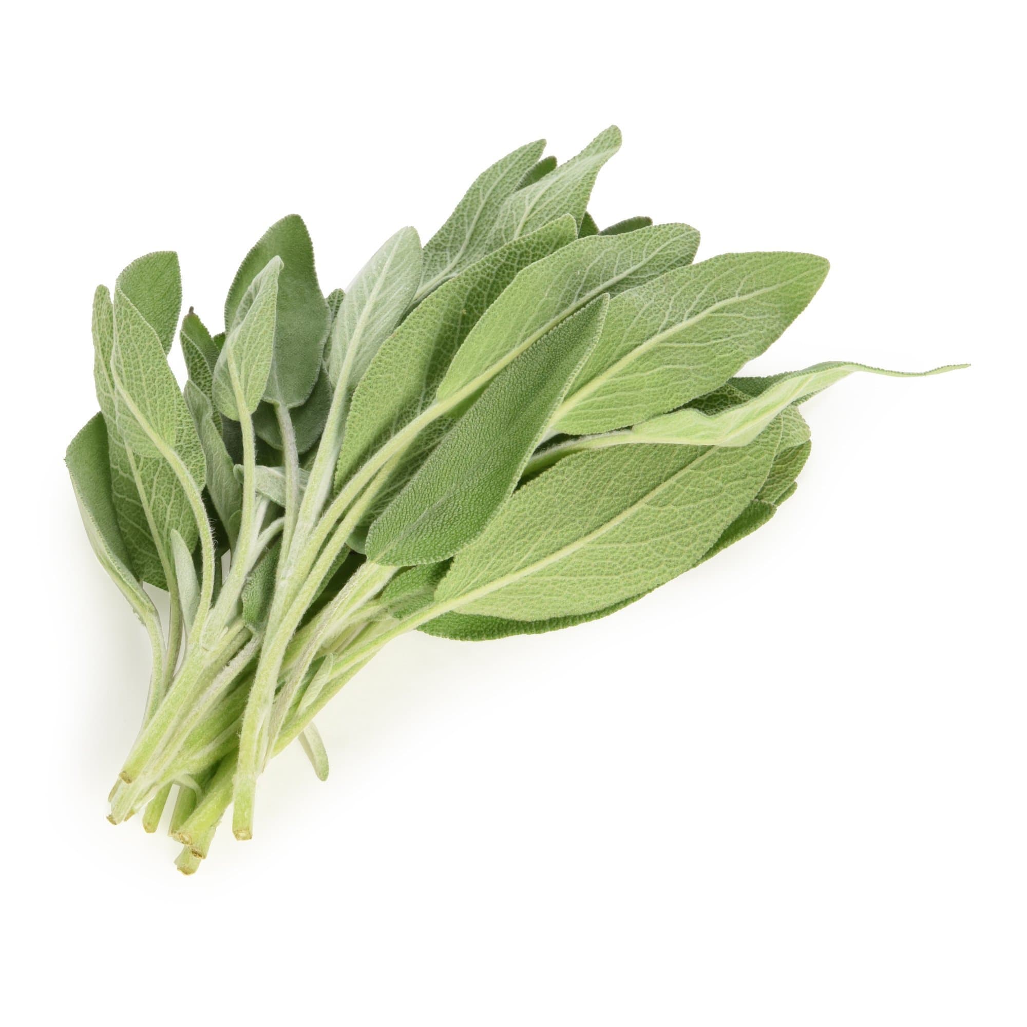 Langmead Herbs Fresh Cut Sage, 20g
