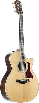 Taylor 414ce-R - Rosewood Back and Sides, V-Class Bracing