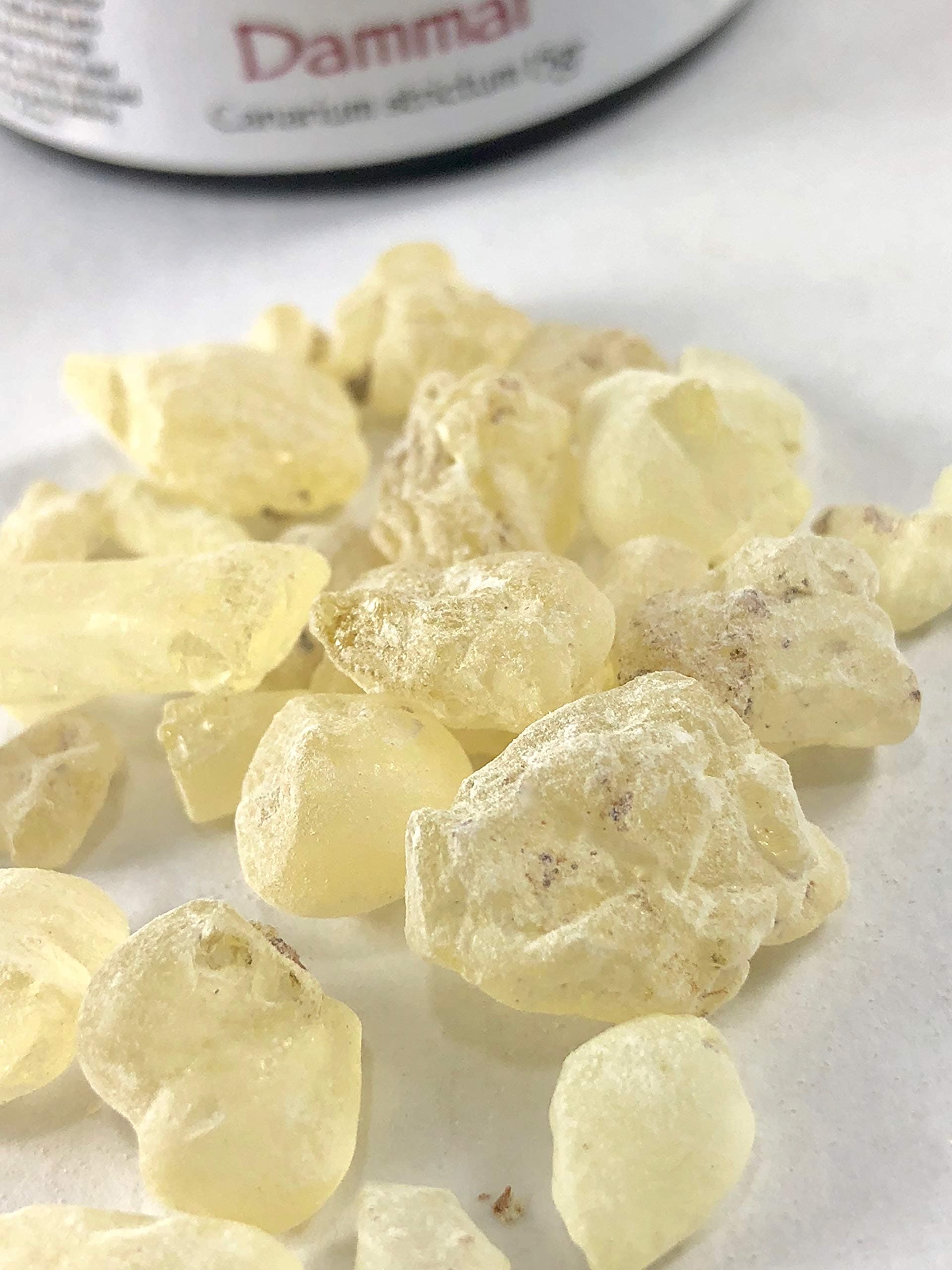 Holotropic Canarium strictum Dammar 15gr