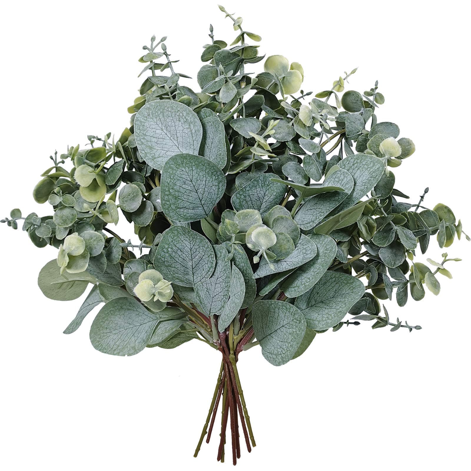 Winlyn Mixed Eucalyptus Leaves Stems Artificial Silver Dollar Eucalyptus Leaves Stems Faux Eucalyptus Leaves Sprays for Floral Wreath Garland Bouquets Arrangement Wedding Greenery Decoration
