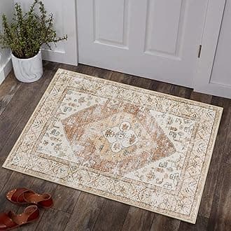 Lahome Boho Kitchen Rugs Washable Small Non-Slip Entry Rugs Inside House Persian Throw Rugs Bedroom Accent Distressed Floor Doormat Carpet Entryway Laundry Living Room, Persian Taupe #02, 2’ X 3’